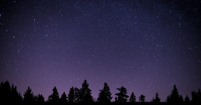 Ce que personne ne vous dit sur la nuit elle-même