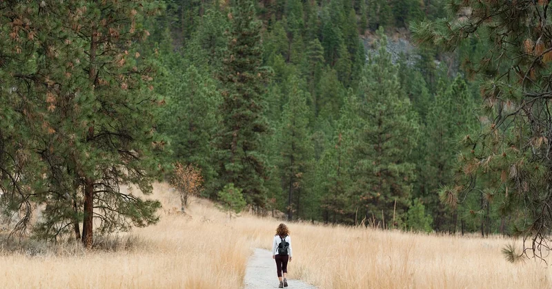 Quelles activités pour un week-end nature réussi ?