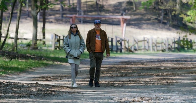 Week-end nature en forêt : idées de séjours et activités dépaysantes